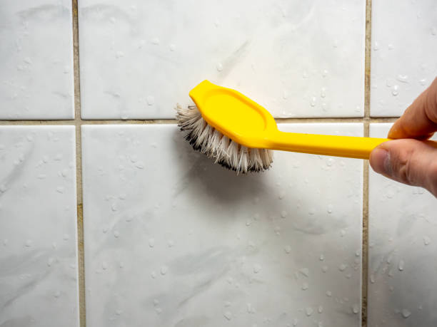 Best Emergency Mold Remediation in Brentwood, CA