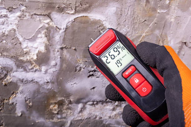 Reliable Brentwood, CA Mold Remediation Solutions