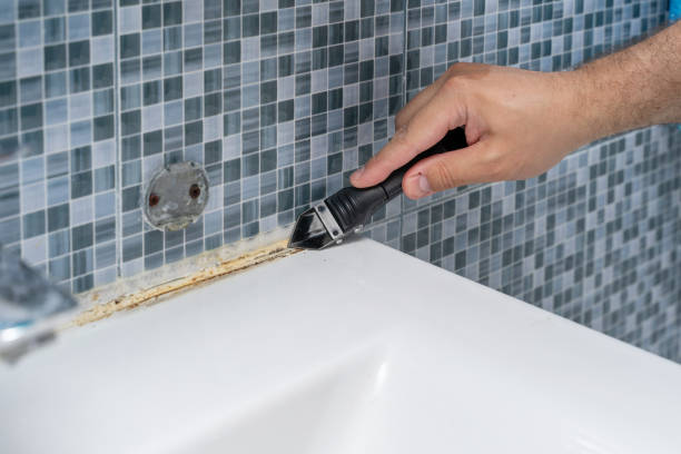 Best Commercial Mold Remediation in Brentwood, CA