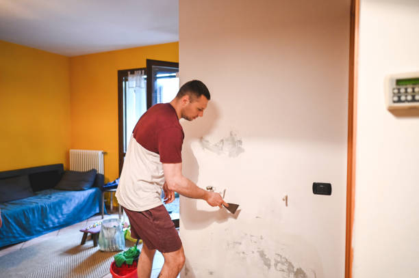 Best Emergency Mold Remediation in Brentwood, CA